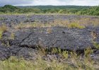 b Hilo Hawaii (32)